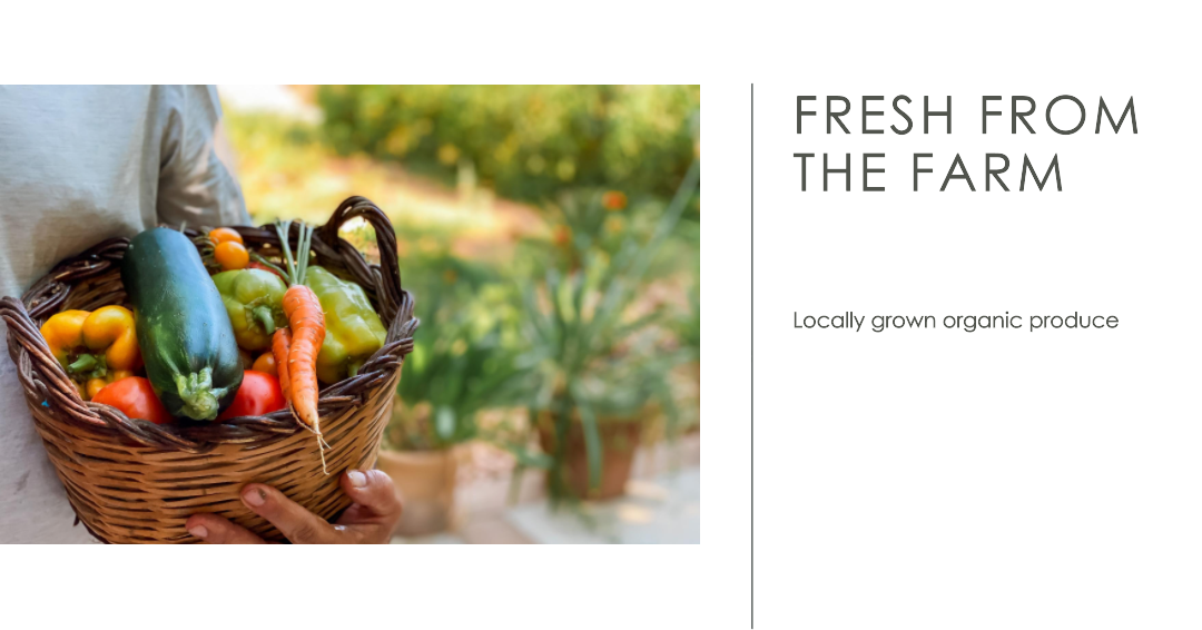 The Organic Produce Experience From Farm to Table Naperville Fresh