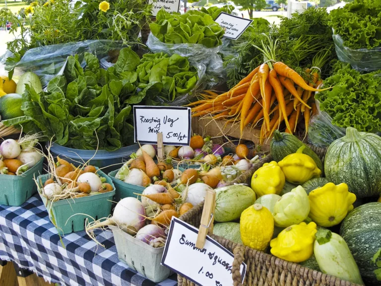 Going Green: The Benefits of Switching to Organic Foods